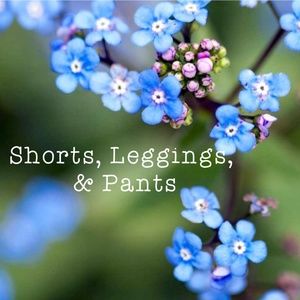 Shorts, Leggings, & Pants [section]